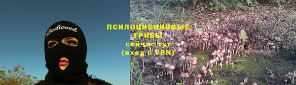 сатива Абдулино