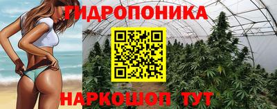гидра Нарткала