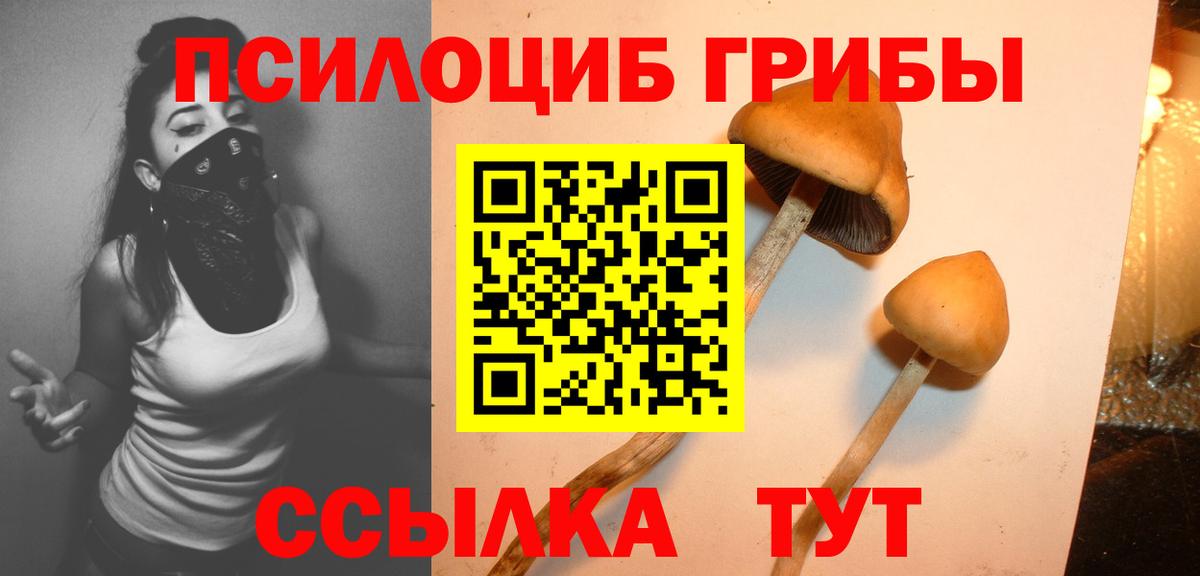 Псилоцибиновые грибы прущие грибы  Вход с VPN  Холмск 